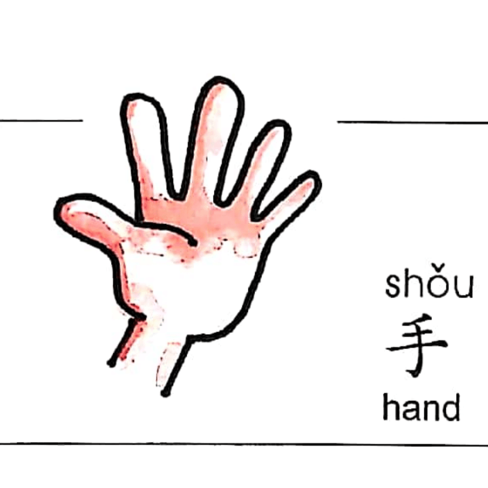 ezyChinese 手(shǒu)