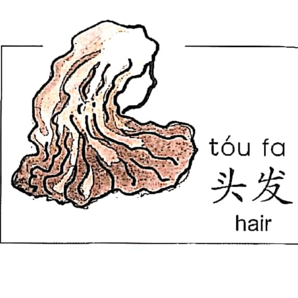 ezyChinese 头发(tóu fa)