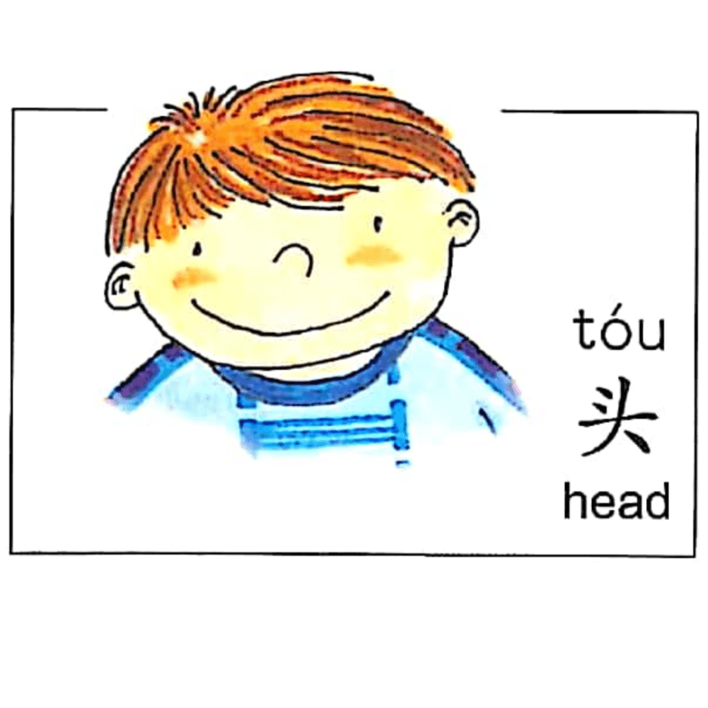 ezyChinese 头(tóu)