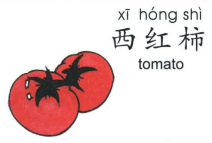 ezyChinese 西红柿(xī hóng shì)