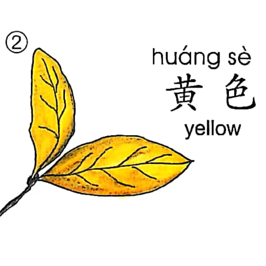 ezyChinese 黄色(huáng sè)