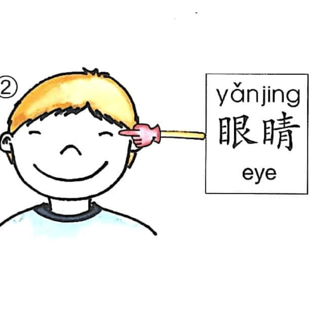 ezyChinese 眼睛(yǎn jīng)