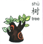 ezyChinese 树(shù)