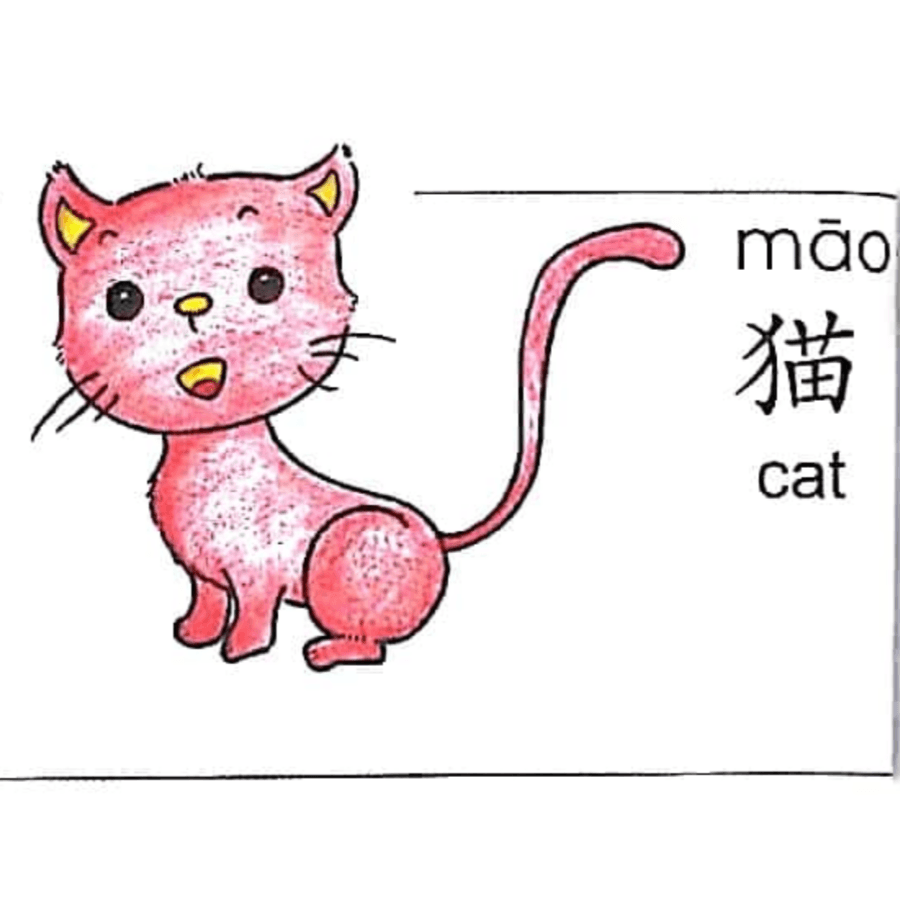 ezyChinese 猫(māo)